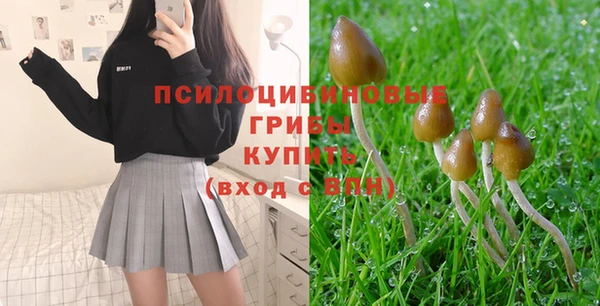 каннабис Алексеевка