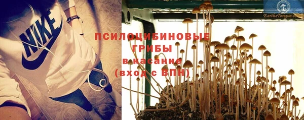 эйфоретик Алексин