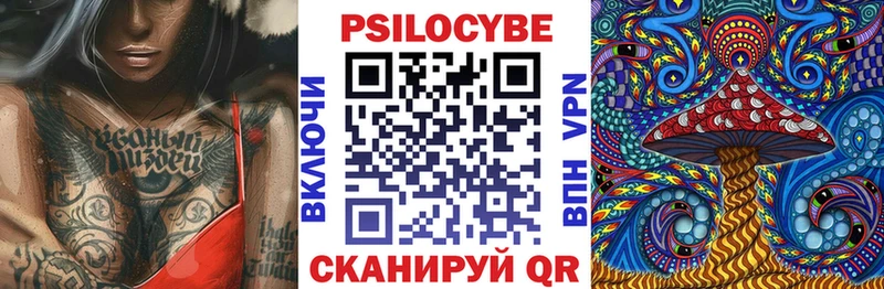 Галлюциногенные грибы мицелий  наркошоп  Чкаловск 