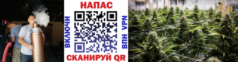 Канабис конопля omg Чкаловск